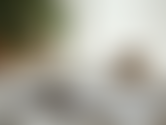 Exploring Zanounelie: A Lifestyle Magazine