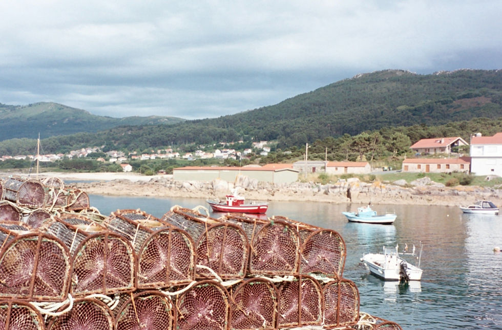 Crab and octopus creels in Lira's harbour © Annie Edwards