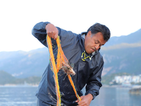 Savouring the Mediterranean Ocean Invader