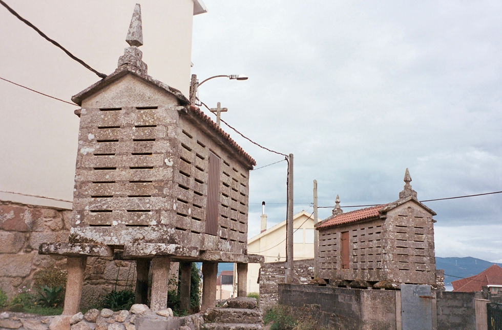Hórreos near Lira, Galicia ©Annie Edwards
