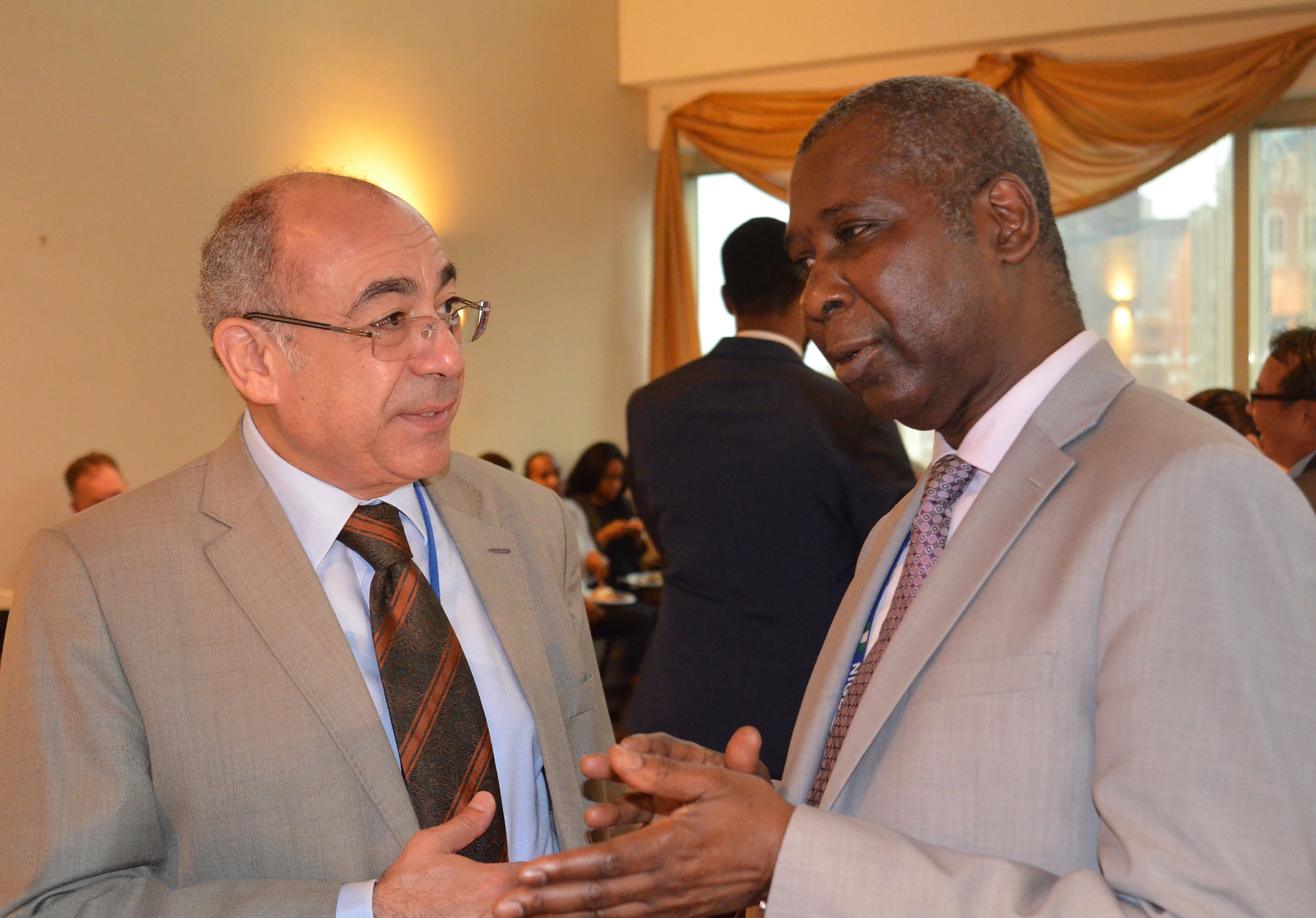 Ambassador of Egypt and Nigeria