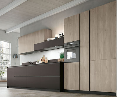 cuisine fenix kitcheneo antibes Nice 06