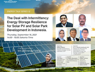 The Deal with Intermittency| Energy Storage Resilience for Solar PV and Solar Park Development Indo