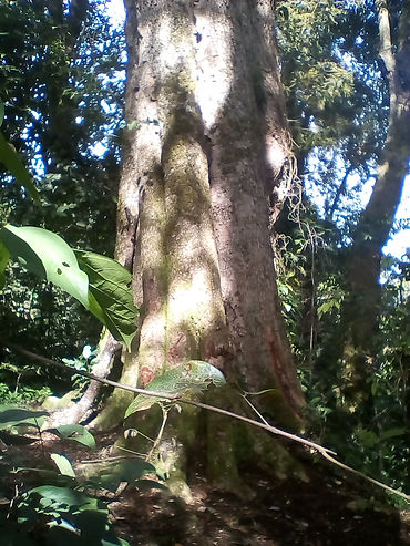 IMG_20100101_035653.jpg