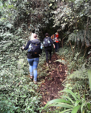 usambara-walking.jpg