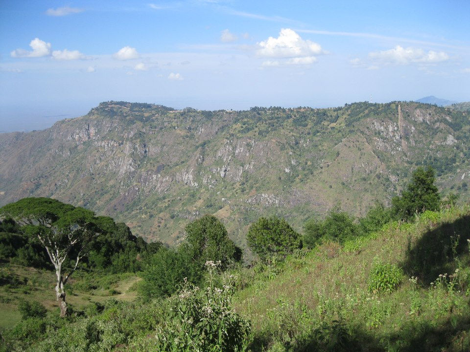 Mountain