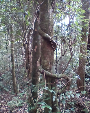 IMG_20100101_055925.jpg