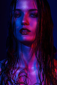 model.jpg