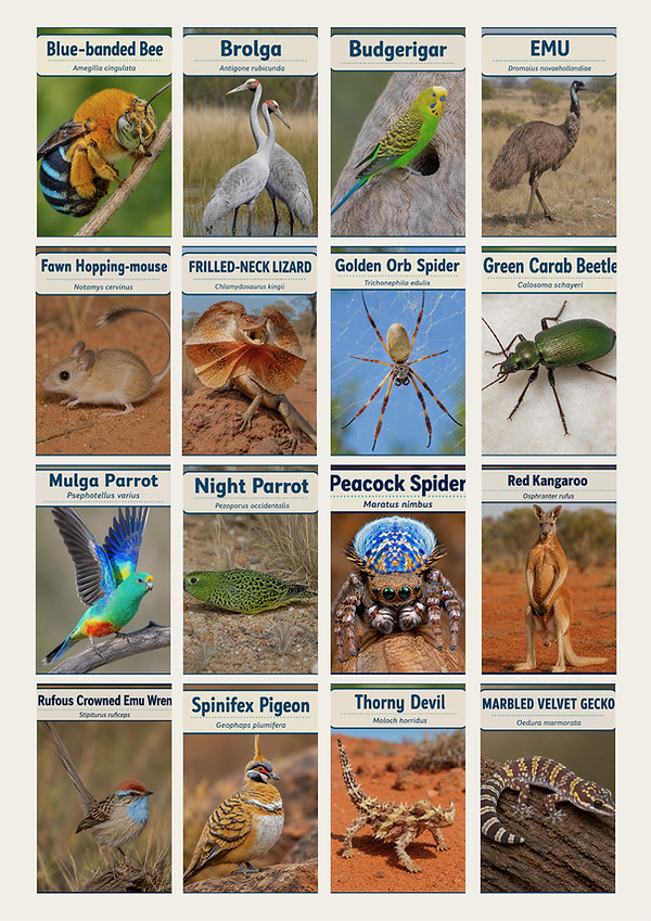 OutbackAnimalsRef.png