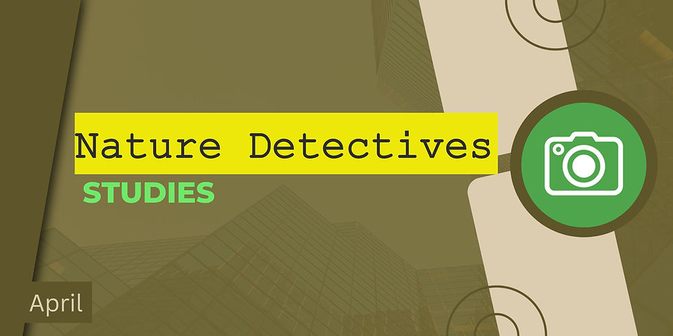 Nature Detective