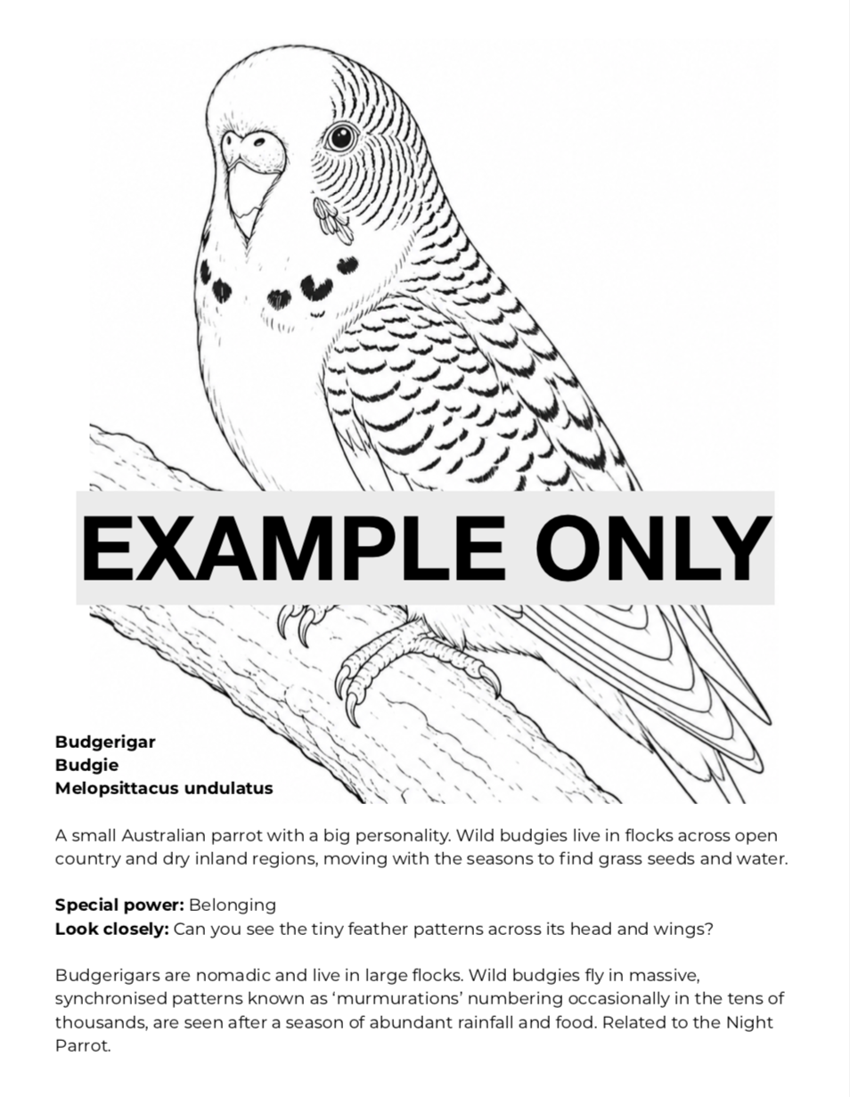 Thumbnail: Kids Australian Outback Animals Colouring Book