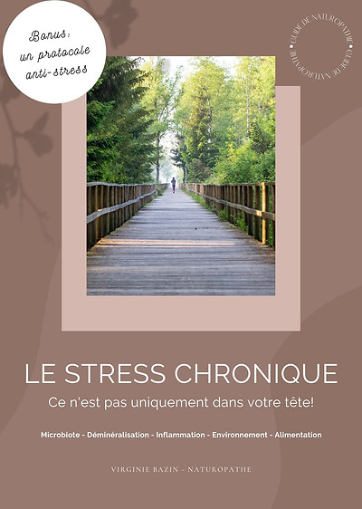 Le stress chronique