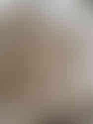 recette du petit digeste