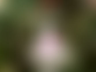 Quelques idées de cadeaux de Noël originaux pour les filles