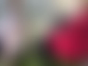 Presidente da OAB se reúne no HU para discutir projeto de planejamento familiar