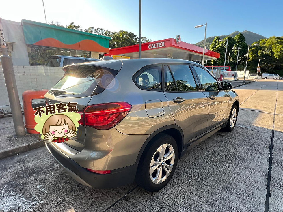 縮圖：BMW X1 XDRIVE 18D