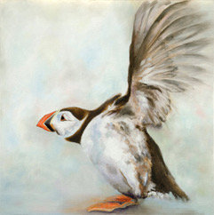 In a Flap by Emma Gillo
