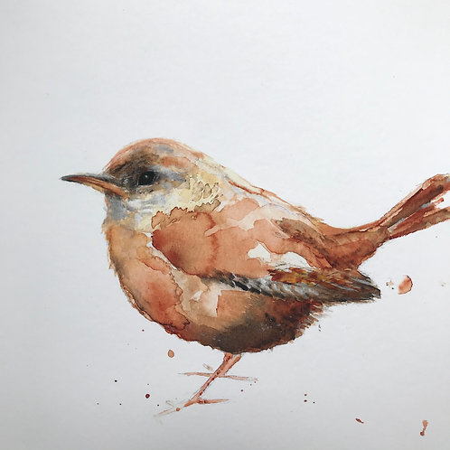 Little Wren by Emma Gillo