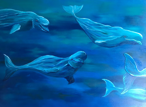 Our Ocean - Beluga Whales by Jayne Crow