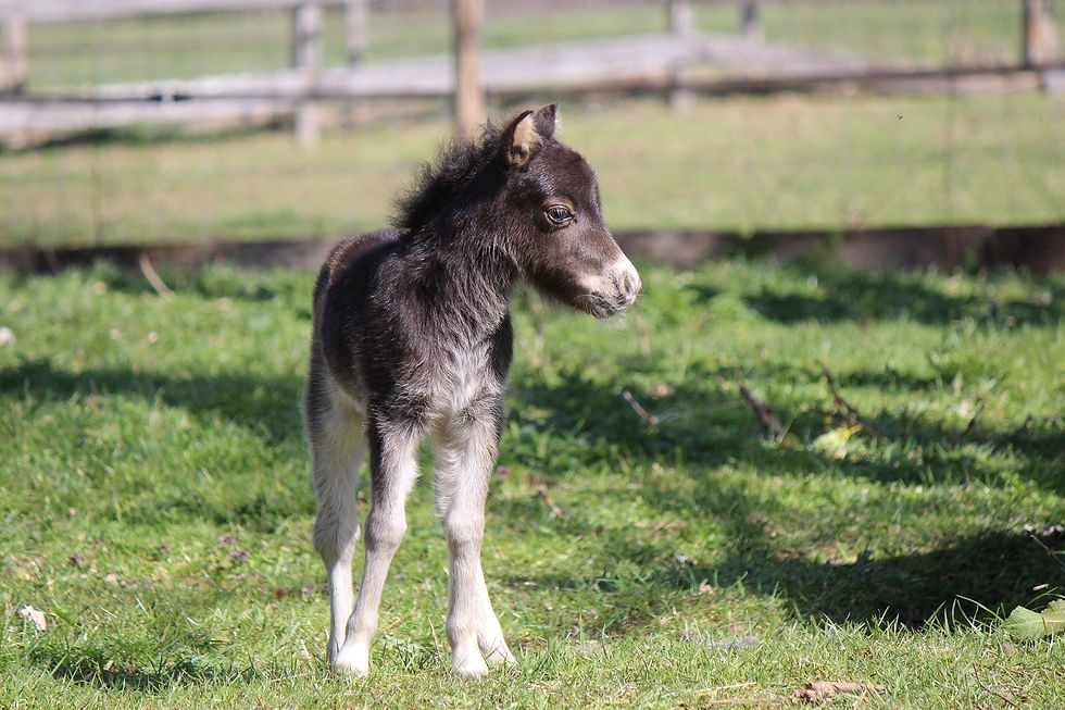 326_1572223498245903_8333936731949528338_n