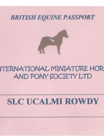 Passeport Européen d'un cheval miniature (IMPHS)