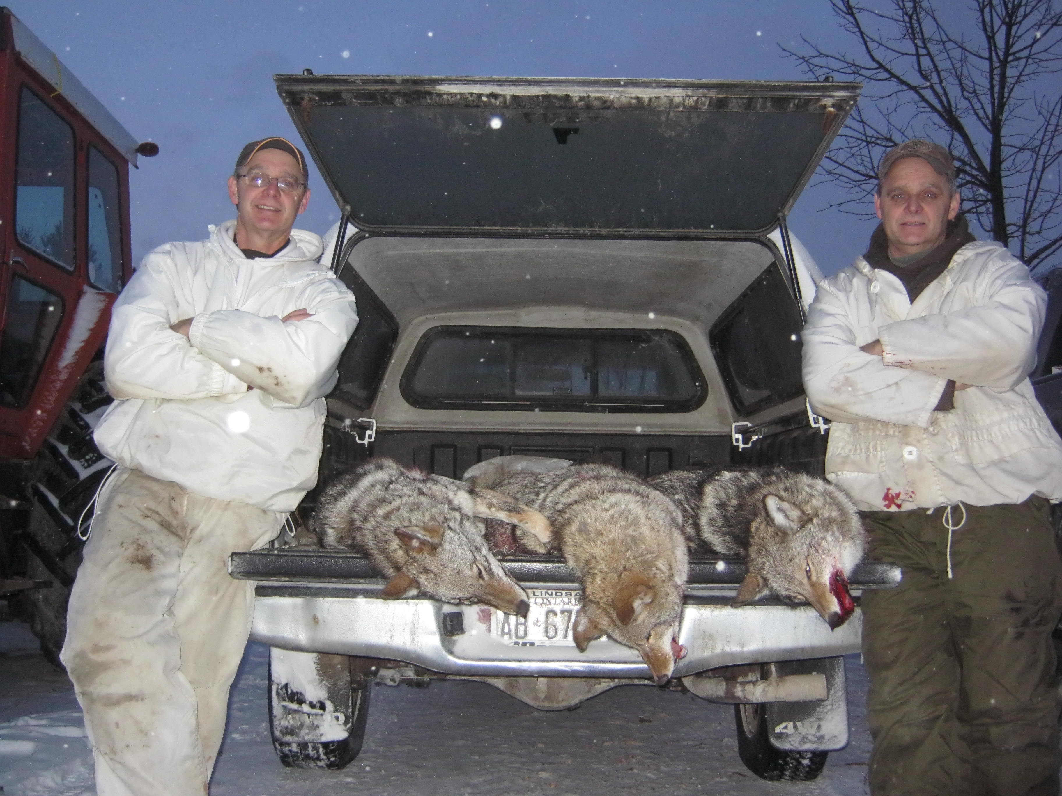 Team Coyote
