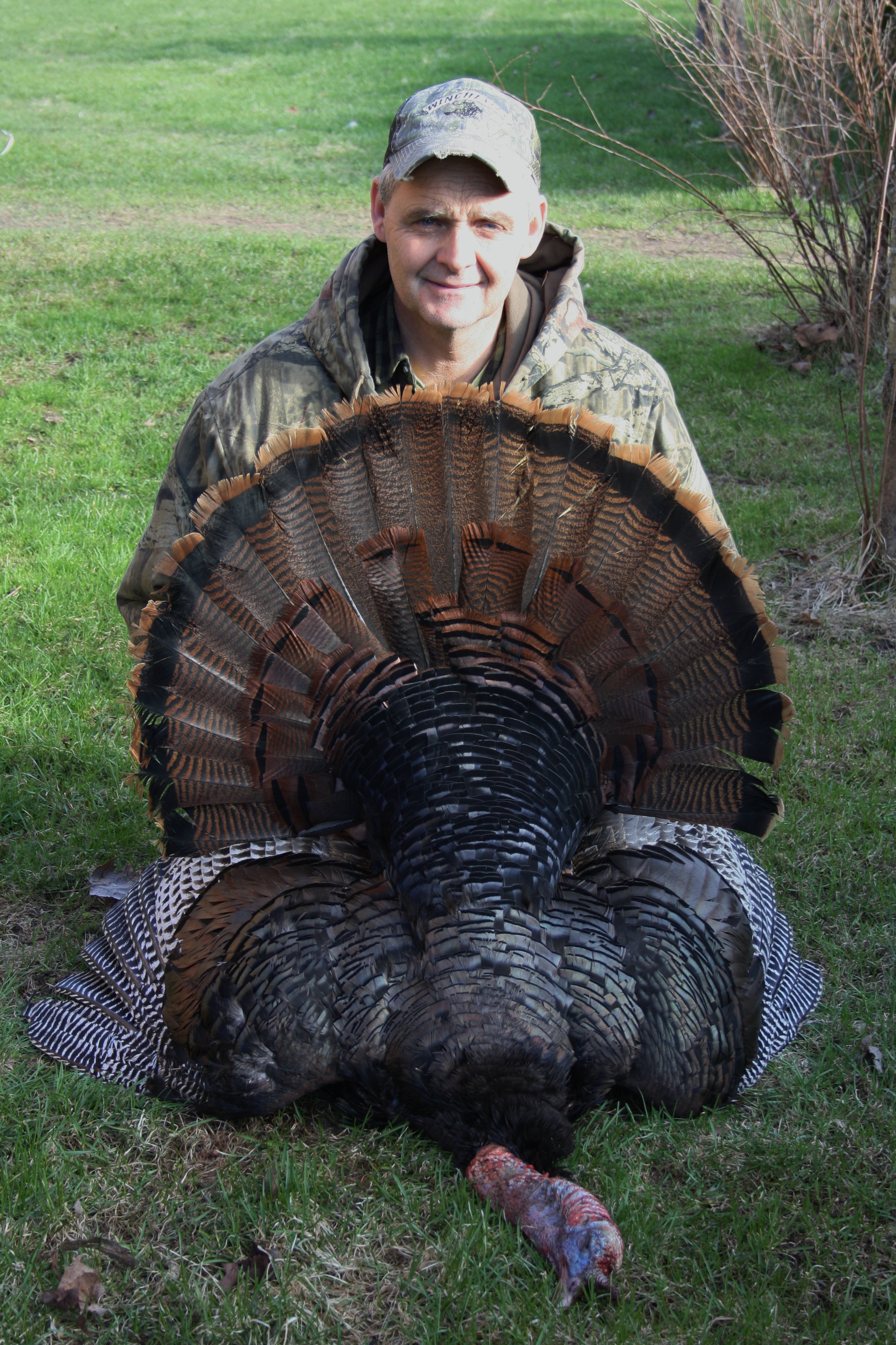 2012 Turkey Season