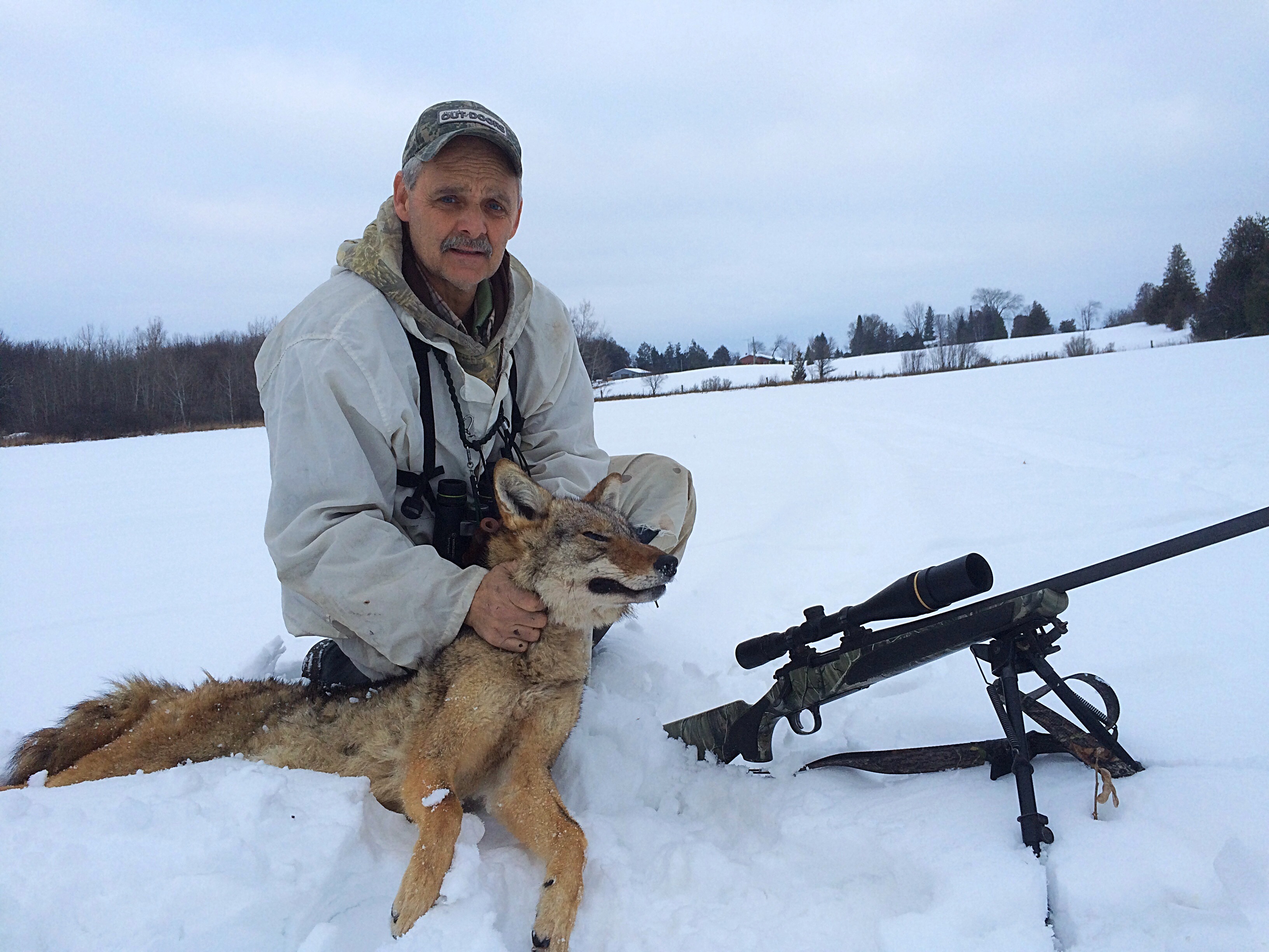 The first coyote of the season