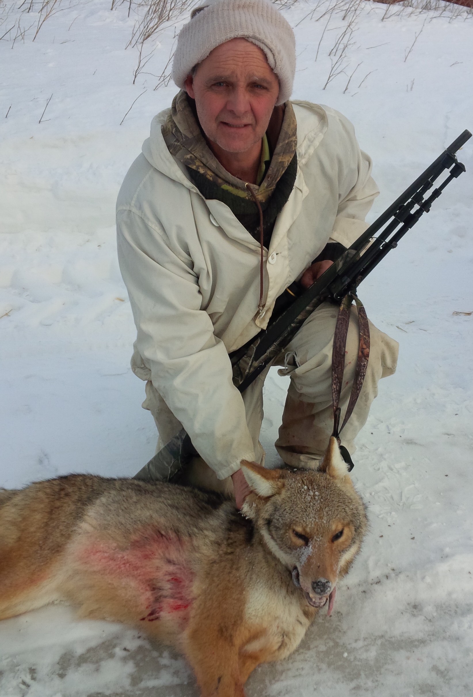 Winter Coyote Hunting