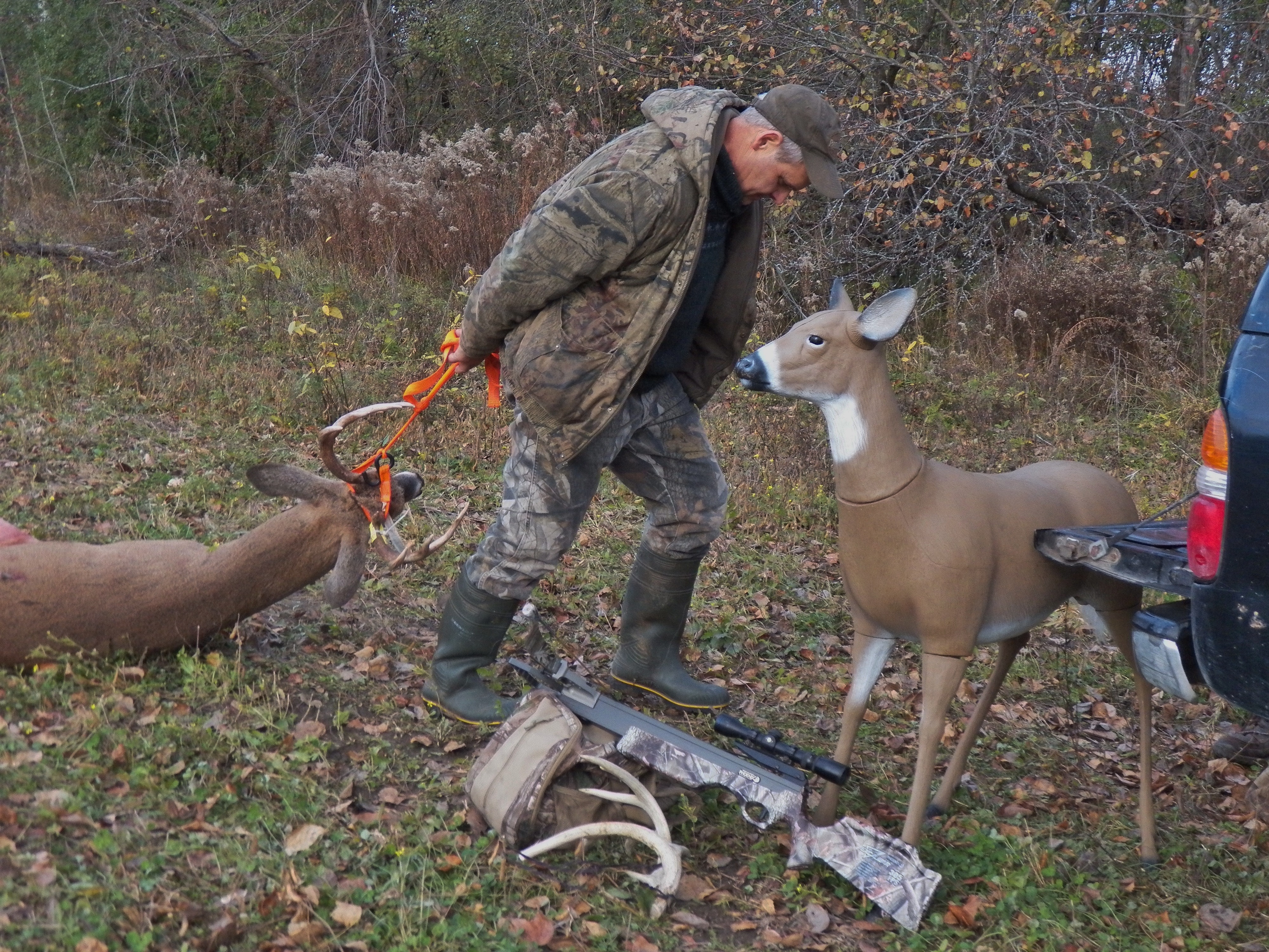 Using Deer Decoys