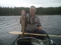 Algonquin Park, Ontario