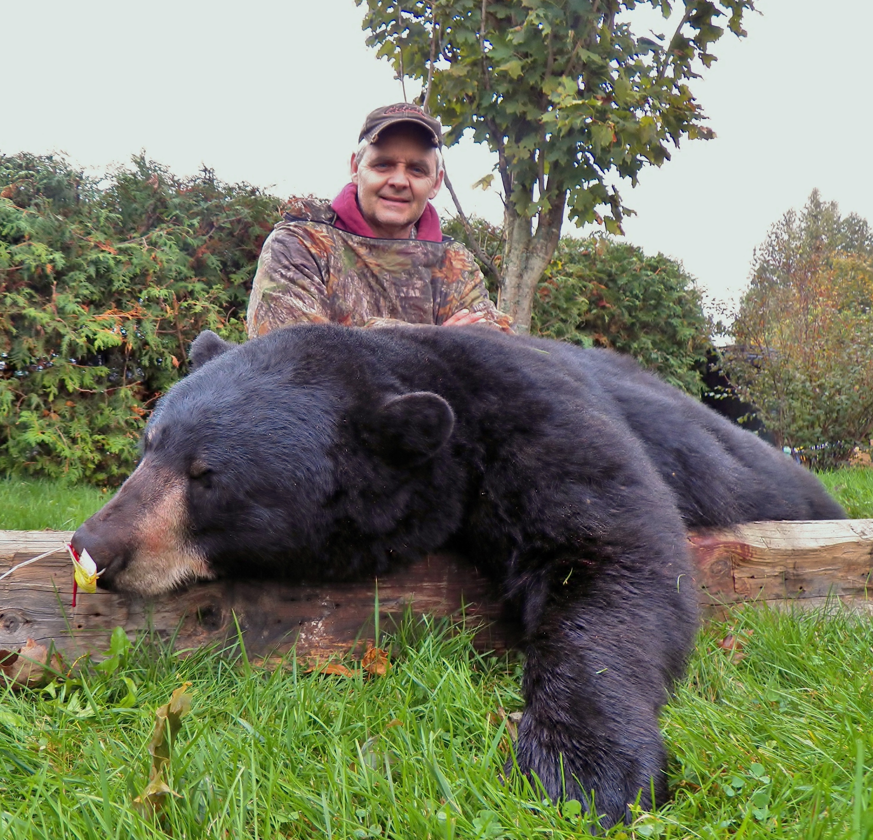 2015 Fall Bear Hunt