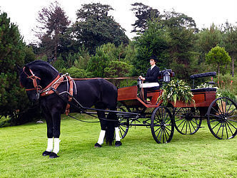 Alquiler de carruajes