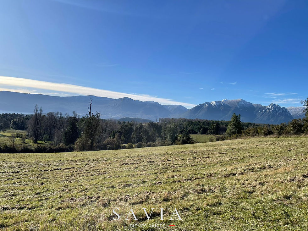 Miniatura: PARCELA CON ESPECTACULAR VISTA AL LAGO VILLARRICA. UF 7.190.-