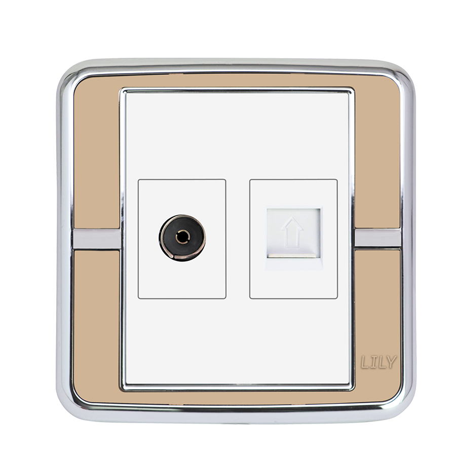 Television+Telephone Socket