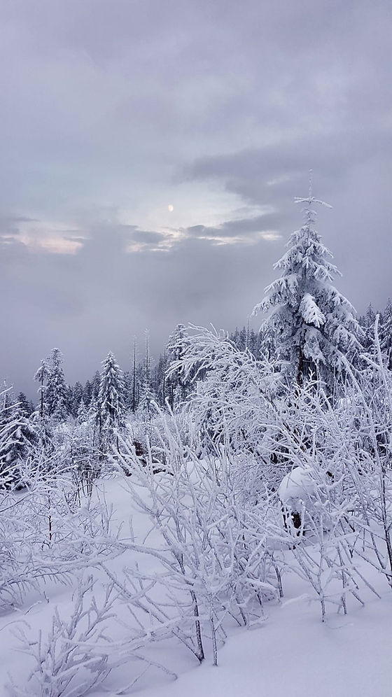 winterbild.jpg