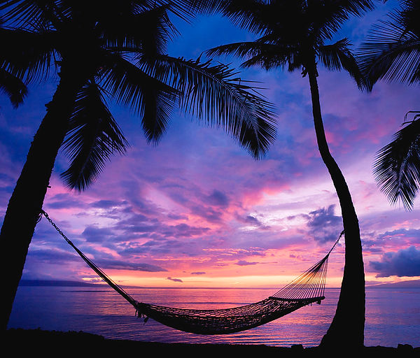 beautiful-vacation-sunset-hammock-design