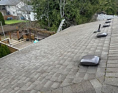 back of roof done.jpg