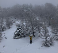 D1187F58-94D0-43A7-A47B-012229F60C4F.jpg