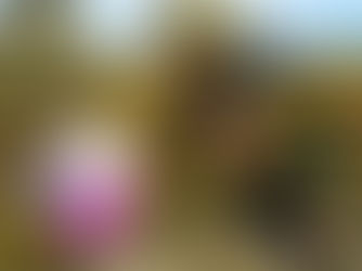 ЗДОРОВ’Я УКРАЇНЦІВ БОРОНЯТЬ СИЛЬНІ, БЕЗСТРАШНІ, ВІДЧАЙДУШНІ