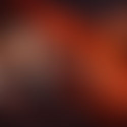 Reliance Share Price Slides 5% — Panic or Perfect Buying Opportunity?