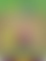 India’s Greatest Chase: When the Women in Blue Dethroned the Queens of World Cricket