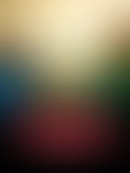 India vs South Africa Women’s World Cup 2025 Final: A New Champion Will Rise Today