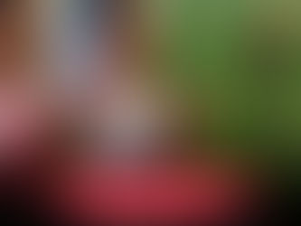 Kati Bihu: The Quiet Festival that Teaches Us to Wait