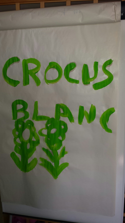 dessin handicap crocus blanc