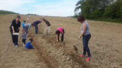 atelier adapté domont