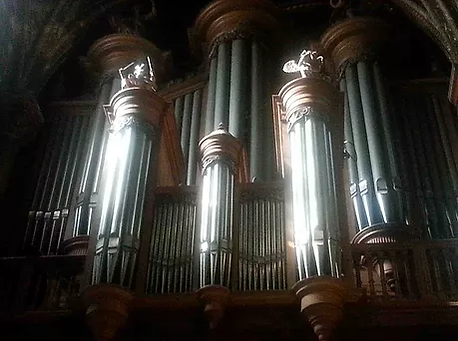 orgue sgdp.webp