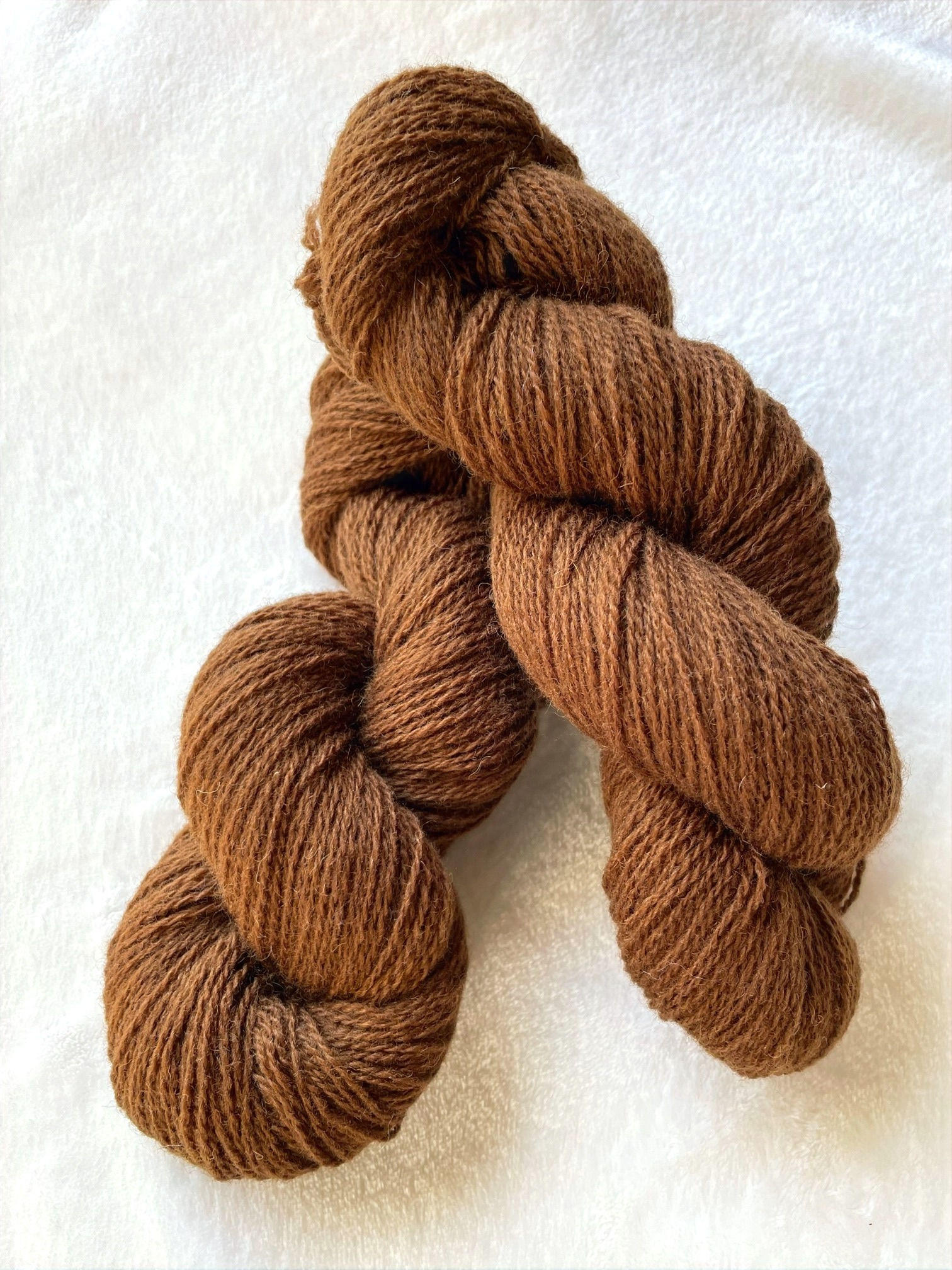 Milk Chocolate - Merino & Corriedale