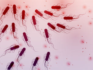 Role of Levonadifloxacin against MDR infections