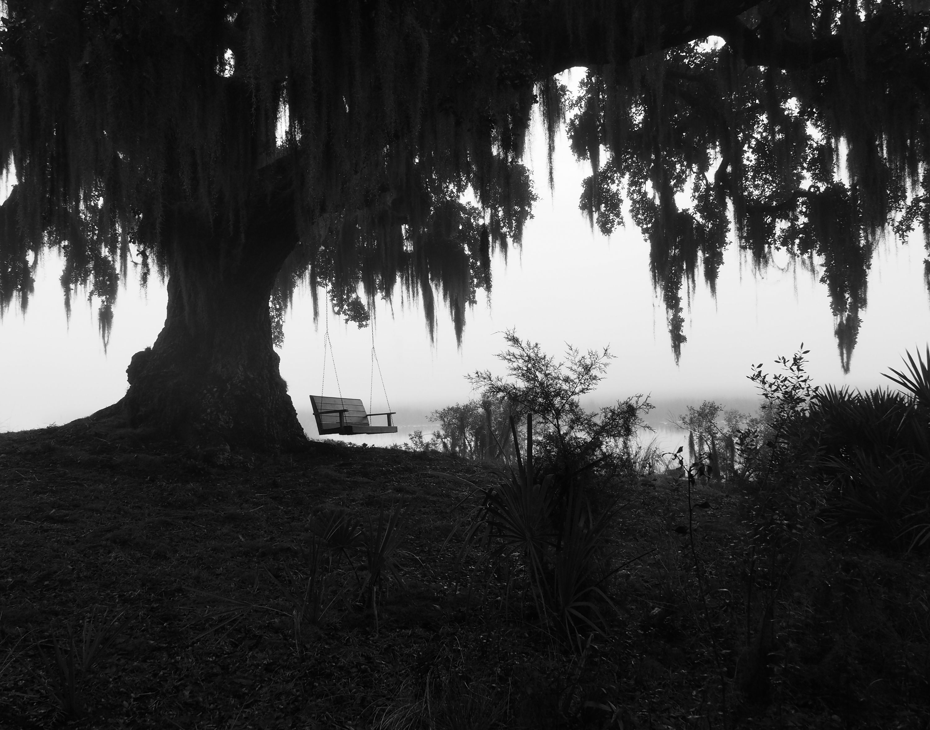 The Swing - Joyce Pearson